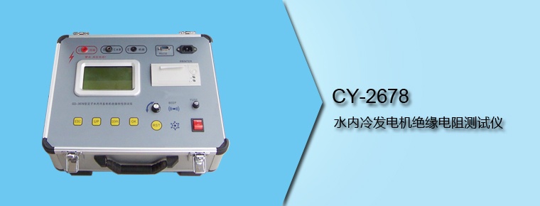 CY-2678 水內(nèi)冷發(fā)電機(jī)絕緣電阻測試儀